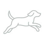 Çok Aktif Köpek