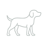 Ideal Köpek