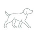 Orta Aktif Köpek