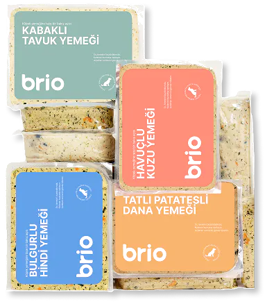 Brio Package