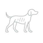 Zayıf Köpek